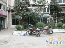 陈家坪 紫荆丁香苑一房45万