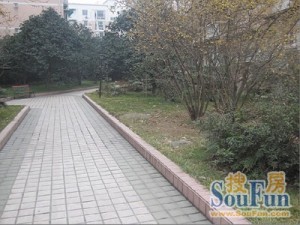 电信花园(双流)3室2厅东