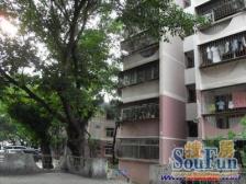 京东小区B区(蓝天公寓) 南北通透,采光好 近地铁 周边匹套完善,,出行方便