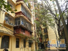 大坪 大坪正街八房95万