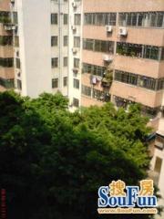方正大3房 保养新 拎包入住 近河堤公园 近双地铁