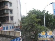 楼层好,视野宽阔,采光充足,交通方便