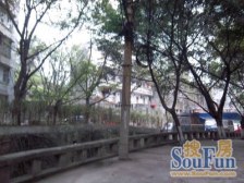 杨公桥正规两室 户型通透 出行方便