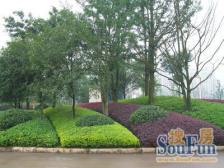 茶园新区 庆隆高尔夫玺馆一房48万