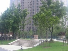 卫生间全明,大开间,品质小区,小区入口附近