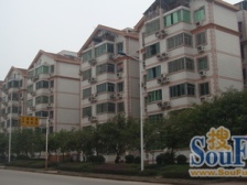 六和雅居 3室1厅 东南