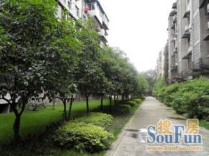 化工院 2室1厅 南