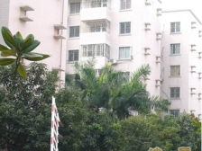 唐园小区 2室1厅 南 北