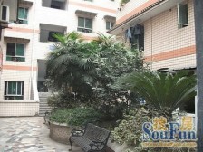 城北新区 新城花园四房63万