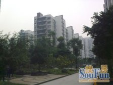 学府大道69号雨山前 5室2厅 西