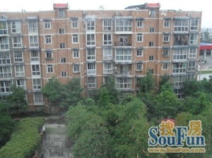 龙府花园3室2厅东南