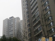 大竹林商业中心 1室1厅 东南 南 西南