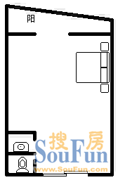 金叶缇香爱尚