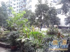 南坪花园村精装两房超高性价比看房方便