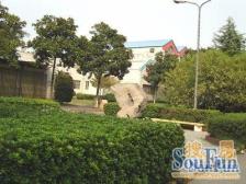 配套齐全 楼层太阳好 户型方正2022年精装花10多万