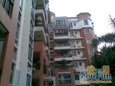 南向实用大两房,全新靓装修,中高层采光靓