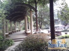 南坪 花园七村二房