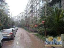 现代生态水城上岛二期 3室2厅 南