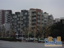 电梯洋房+4房带书房+大阳台+通车库+前后中庭视野开阔