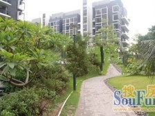 证满五年 安静位置 东南向4房 安静不吵 采光视野好