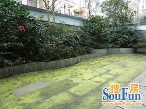 高尔国际1期 2室2厅 东南