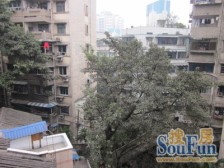 一号桥 钢铁设计院二房110万