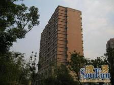 次新房电梯高区、双轨交汇、万科物业、全明户型