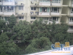 金府银座 1室1厅 南