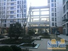 不限制购资格 高区看东方明珠 通燃气