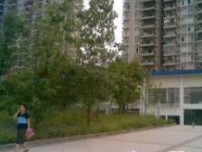 低首付 低月供 好出租 小两口 老年人居住