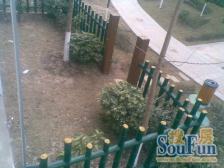 江南第壹城A区视野精装江景房业主急售