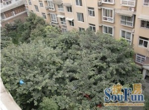 永泰雅居3室2厅南北