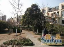 万科物业 电梯景观楼层 视野开阔 采光OK 满五税少