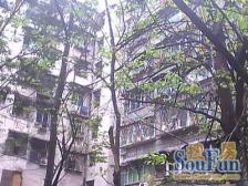 带屋顶花园 采光通透,户型方正 单价总价低