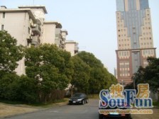 南码头·龙阳花苑-东方异彩·5室·2厅