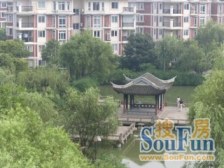 新虹桥首府(公寓) 1室1厅 南 北