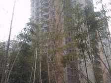 人和 润都世纪一房40万