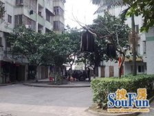 实用二房,东南向,光线好,格局方正