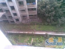 小区处于高笋堂地段,户型方正,出行便利