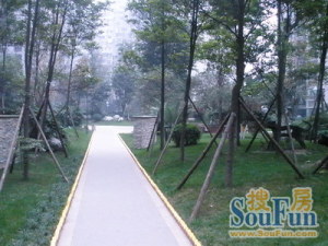 禾嘉利好 2室1厅 东