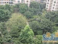 一线江景,板式结构,小高层,还有露台,采光通风好