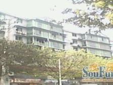 正规精装大2室 采光很好,视野好