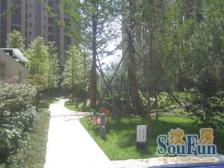 融侨风临洲B区,拎包入住,干净整洁