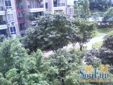 假日滨江花园C区 3室2厅 东南