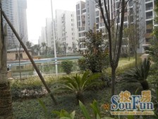 光宇文林雅居 3室2厅 南 北