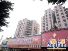 红荔花园 电梯精装两房 满五唯一 无欠款 价格便宜