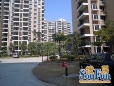 福湾新城春风苑三区,电梯高层。