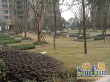 万象城旁 品质精装四房 朝南视野开阔采光好 住家安静