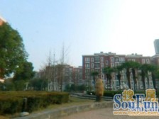 精装修2房带电梯,黄浦江江景房,下楼公园