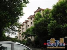 徐泾·光联公寓·3室·2厅